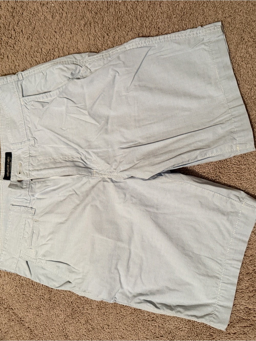 American Eagle Outfitters Light Blue Men’s Flat-Front Shorts